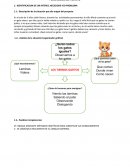 Proyecto de aprendizaje “El mundo de las hormigas”