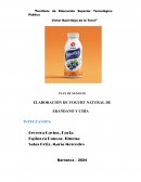 Plan de negocio Elaboración de yogurt natural de árandano y chía