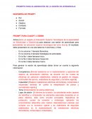 Ingeniería de PROMPT