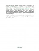 Reglamento Servicios Corporativos TPT S.A. de C.V.