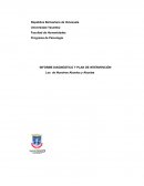 Informe diagnóstico y plan de intervención. Los saberes de nuestros abuelos y abuelas