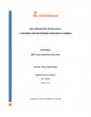 ERP como prevención de crisis