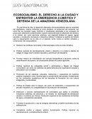 Ecosocialismo. El derecho a la ciudad y enfrentar la emergencia climática y defensa de la amazonia venezolana