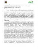 Generación de hidrogeno por electrolisis para la obtención de energia electrica
