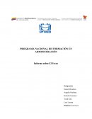 Informe sobre El Yo-yo