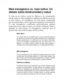 Maíz transgénico vs. maíz nativo: Un debate sobre biodiversidad y salud