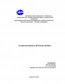Fundamentos básicos del proceso de datos